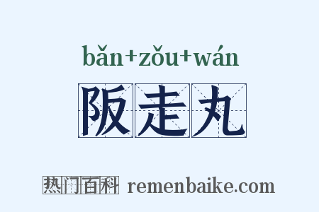 阪走丸是什么意思的图片